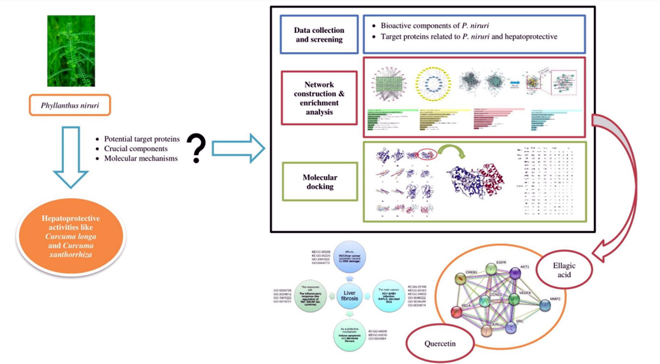 Graphical Abstract